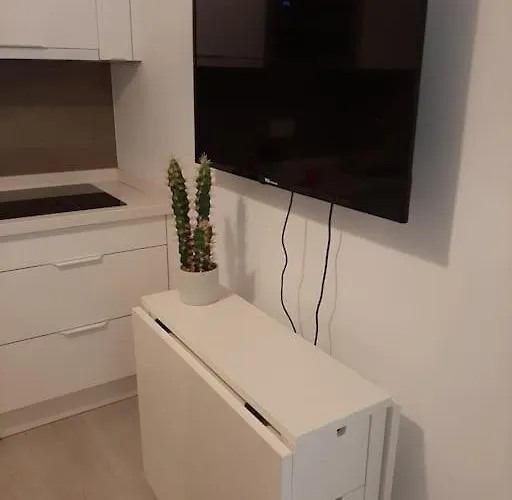 Coqueto Apartamento En Triana